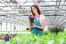 Germany, Bavaria, Munich, Mature woman in greenhouse with aster plants