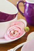 Pink ranunculus flower and bud next to stacked teacups on saucer