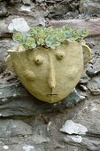 Cottage garden decoration- artistic terracotta wall planter planted with stonecrop (Sedum) on stone wall
