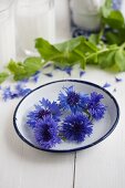 Wreath of cornflowers in enamel dish in front of sweet pea tendrils and glasses of milk