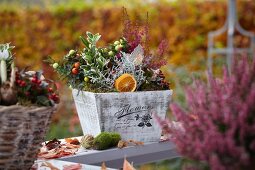 Autumnal arrangement of heather, ornamental chillies, Leucophytha brownii and euonymus in wooden crate on wooden garden table