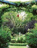 Dense vegetation in garden with round pond