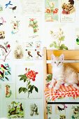Katze auf Stuhl vor tapezierter Wand mit verschiedenen Blumen- und Tiermotiven im Vintagelook
