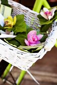 Orchids in a bicycle basket