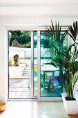Zimmerpflanze vor Fensterschiebetüren; Blick auf sonnige Terrasse mit farbigen Plastikstühlen