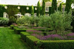 Landscaped garden with low hedges around flower beds in front of Mediterranean country manor with climber-covered facade