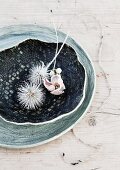 Thistles dipped in white paint and dried anemone flower in rustic dish on wooden surface