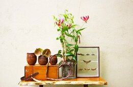Glory lily (Gloriosa superba) in square planter, ceramic beakers and collection of butterflies on wooden table