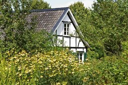 Farmhouse with natural garden