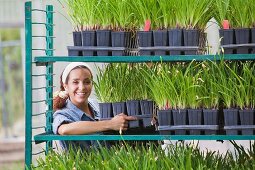 Young sales assistant arranging shelves of plants in garden centre