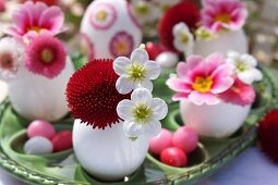 Oster-Tischdekoration mit rosa, roten und weissen Frühlingsblüten