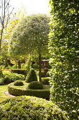 Summer atmosphere in landscaped garden with topiary box hedges and trees