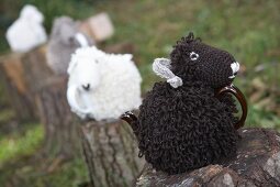 Knitted sheep tea cosies