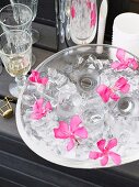 Glass dish of shot glasses, ice cubes and pink flowers