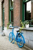Parked bicycle painted pale blue in front of brick facade with potted plants on windowsills