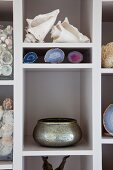Seashells, geodes and artistic bowl on white shelves