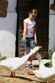 Child feeding geese in front of country house