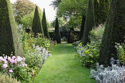 Topiary box bushes and flowering beds lining lawn