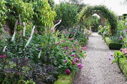 Blooming flower beds lining gravel path leading through climber covered arch in English garden