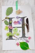 Arrangement of letter H printed on paper and autumnal natural finds (hydrangea petals, acorns, heather, feather)