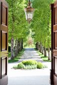 View through open, double front doors of bed of clipped box bushes and grand drive lined with trees