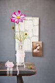 Variegated cosmos flower in old glass bottle wrapped in paper and colour-coordinated woollen yarn