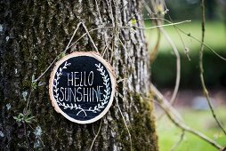 Message on sign hanging on tree trunk