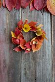 Wreath of autumnal cherry leaves in rustic wooden background