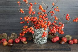 Sprigs of rosehips, apples and chestnuts