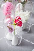 weiße Porzellanvasen mit Blüten unter Glashauben