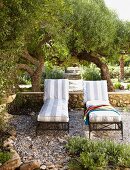 Sun loungers with striped upholstery on gravel terrace in front of gardens
