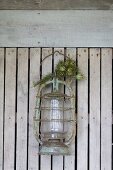 Old lantern with dried posy of garden flowers hanging on wooden lath wall