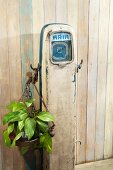 Houseplant hanging from old, petrol-station air pump against simple wooden wall