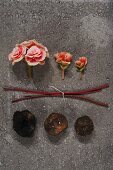 Pink begonia flowers, stems and tubers on stone slab