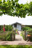 Vegetable garden with paling fence, brick-paved path and shed; mother and daughter gardening