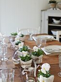 Wooden table set with white violas in kitchen