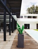 Sculpture on plinth on roofed wooden terrace of contemporary house