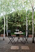 Birches around seating area with black metal chairs and round bistro table on gravel terrace in garden