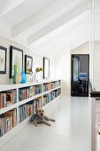 Bookcase integrated in low knee wall on gallery; dog lying on floor