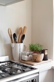 Detail of kitchen counter with cooking utensils in retro jug and potted herbs next to gas cooker