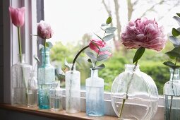 Verschiedene Glasgefässe mit zart pinkfarbenen Tulpen und Pfingstrosen auf schmalem Fensterbrett