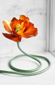 Flower-shaped table lamp