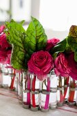 Roses and rainbow chard arranged in test tubes