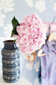 Hydrangea bloom in ornate, retro ceramic vase