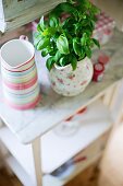 Basil in floral china jug on side table