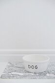 White dog bowl labelled 'Dog'