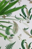 Wallpaper with pattern of various ferns