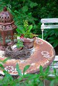 Old, rusty garden table with stencilled floral motifs, Oriental lantern, houseleek in bird's nest and plant in terracotta pot