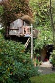 DIY tree house with porch and balcony amongst dense canopies; entrance to outbuilding in background