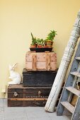 Vintage Stillleben mit Sukkulenten auf Tablett und Hasenfigur auf Kisten- und Kofferstapel; seitlich eine geschnitzte Holzstütze und eine alte Leiter